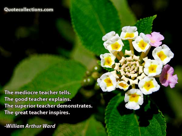 William Arthur Ward Quotes3